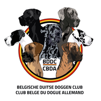 Great Dane Specialty with CAC (BDDC/CBDA)