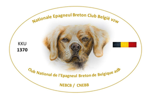 Rasspecial Epagneul Breton